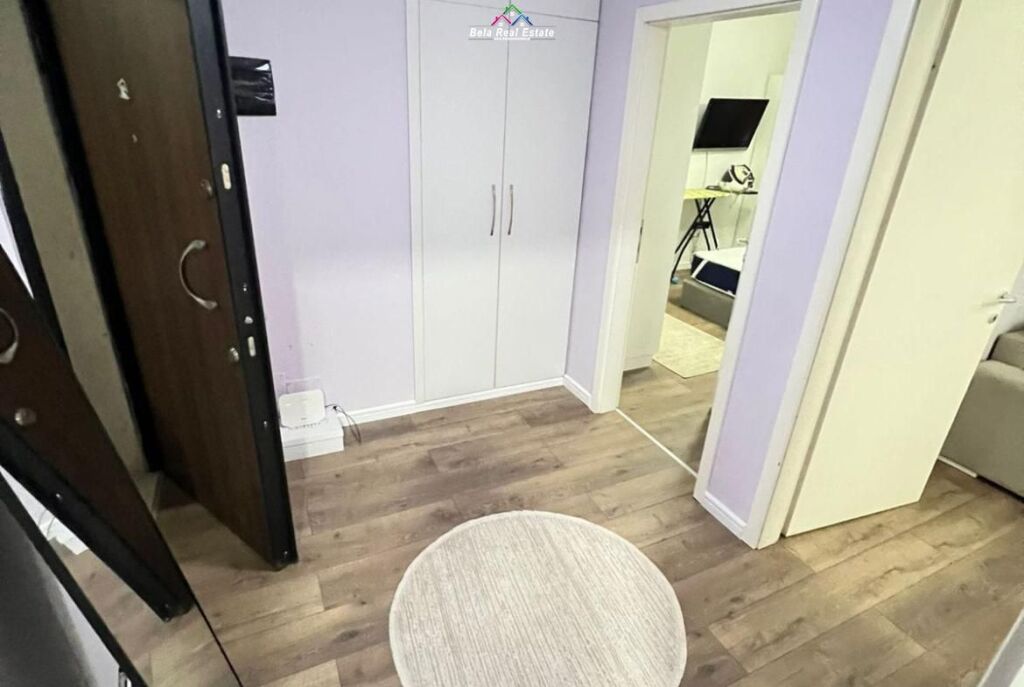 Apartament Me Qera 1+1 Tek Liqeni i Thate (ID B210604) Tirane