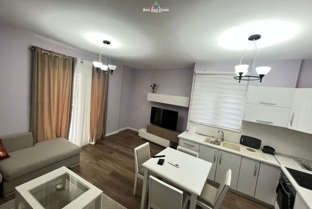 Apartament Me Qera 1+1 Tek Liqeni i Thate (ID B210604) Tirane