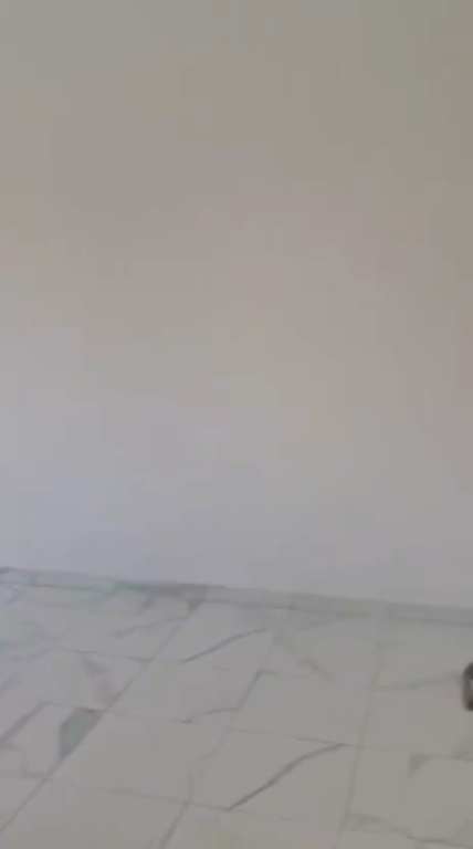 Apartment 1+1 for rent Kombinat !