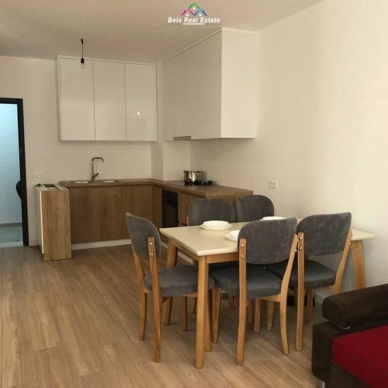 Apartament Me Qera 1+1 Tek Kompleksi Zirkon (ID B2101104) Tirane.