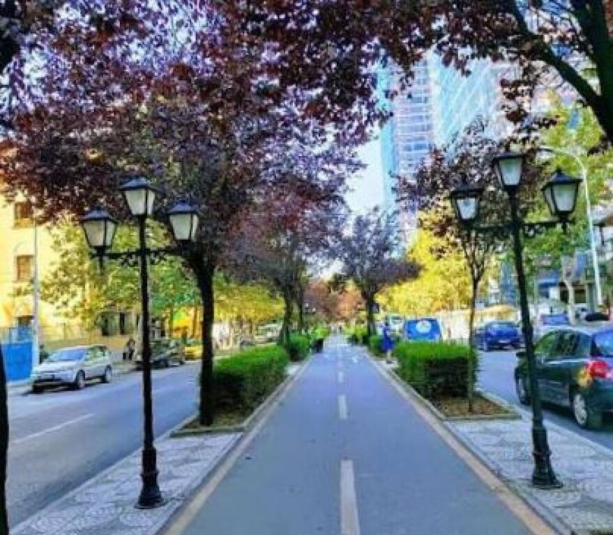 Jepet me qera ambient biznesi në një nga zonat më të kërkuara të Rruga e Kavajës,
