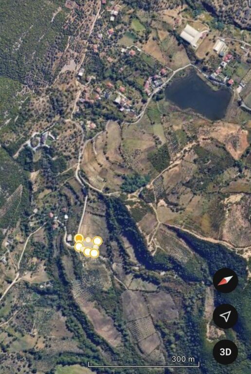 SHITET TOKE 1900 M - LINZE, TIRANE