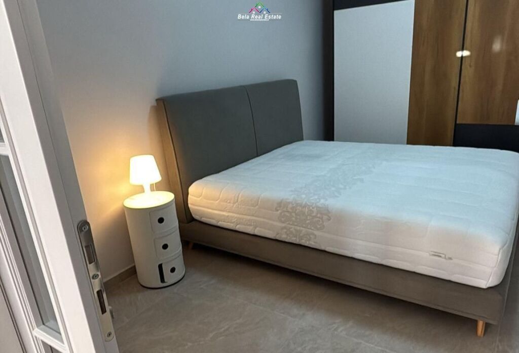 Appartamento in Affitto 2+1 a Vasil Shanto (ID B221427) Tirana