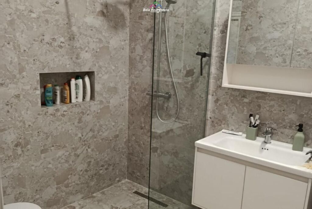 Appartamento in Affitto 2+1 a Vasil Shanto (ID B221427) Tirana