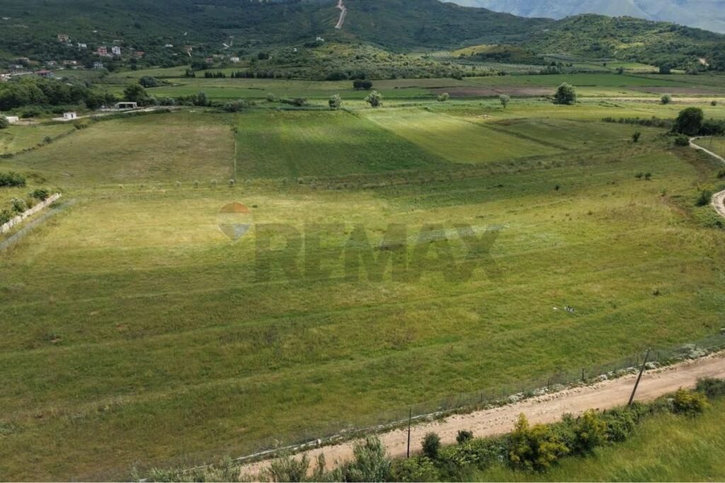 Shitet Toka në Tragjas, Vlorë