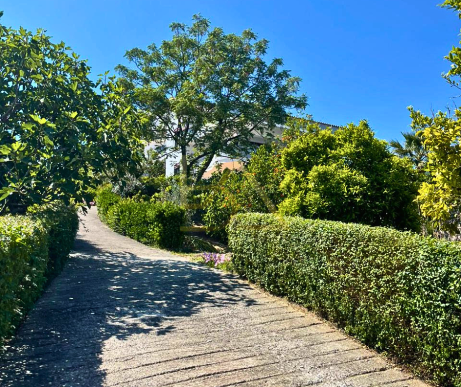 Shitet Vilë – Plepa, Durrës