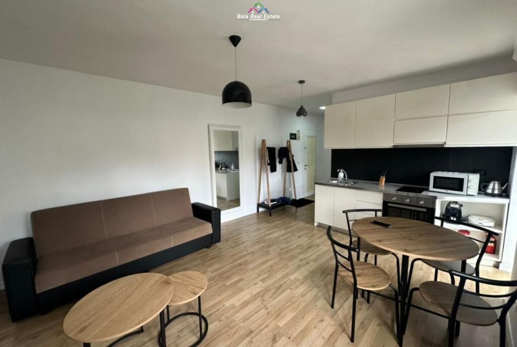 Appartamento In Affitto 1+1 In Via Elbasan (ID B211128) Tirana