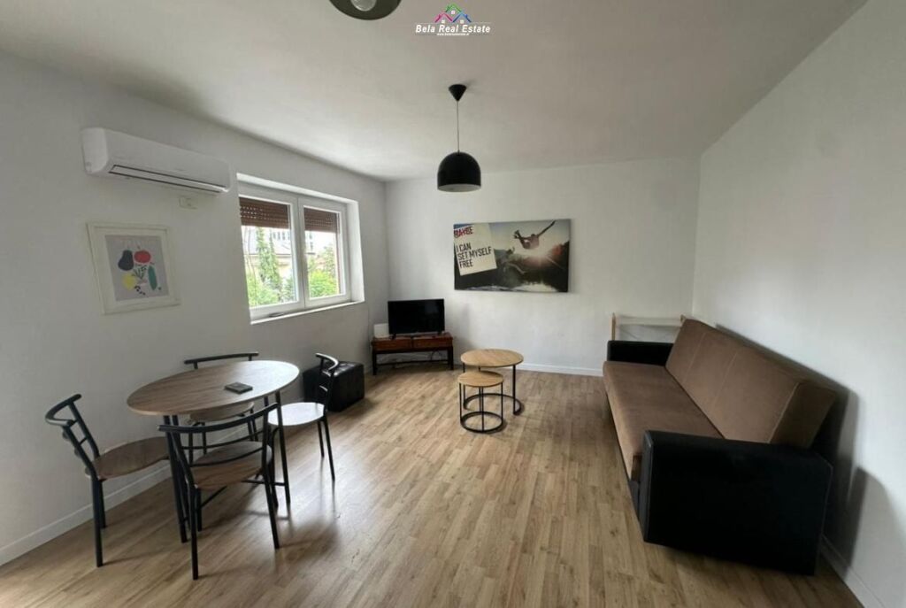 Appartamento In Affitto 1+1 In Via Elbasan (ID B211128) Tirana