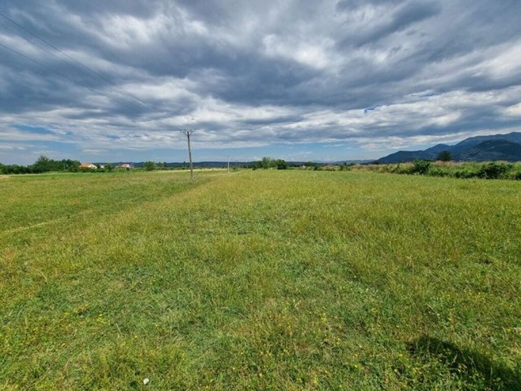 LEZHË SHITET TOKË