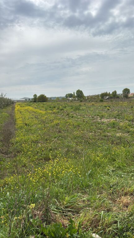 🌿 Land for Sale in Koxhas, Shijak 🌿