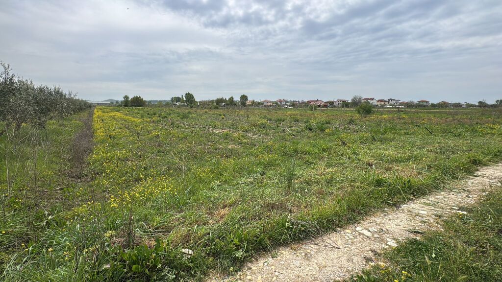 🌿 Land for Sale in Koxhas, Shijak 🌿
