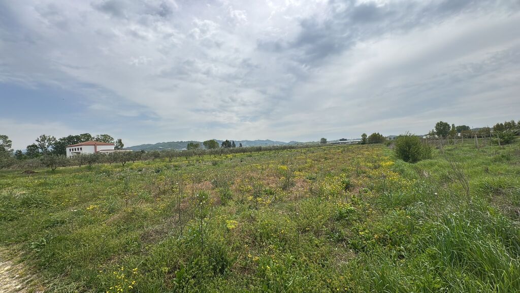 🌿 Land for Sale in Koxhas, Shijak 🌿