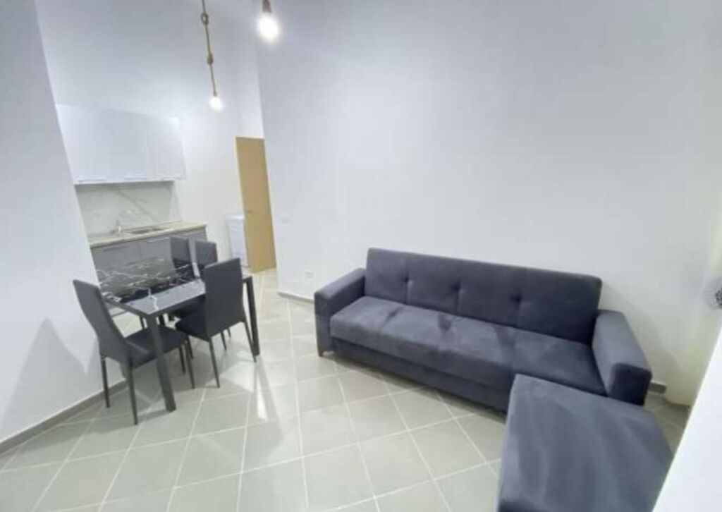 Apartament 1+1 me Qira Prane Fushes ne Ali Dem
