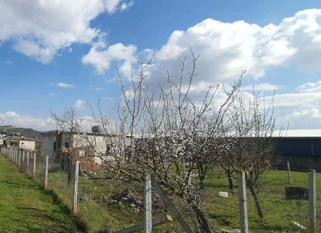 TERRENO IN VENDITA 1760 M2 + CASA VECCHIA, VORE