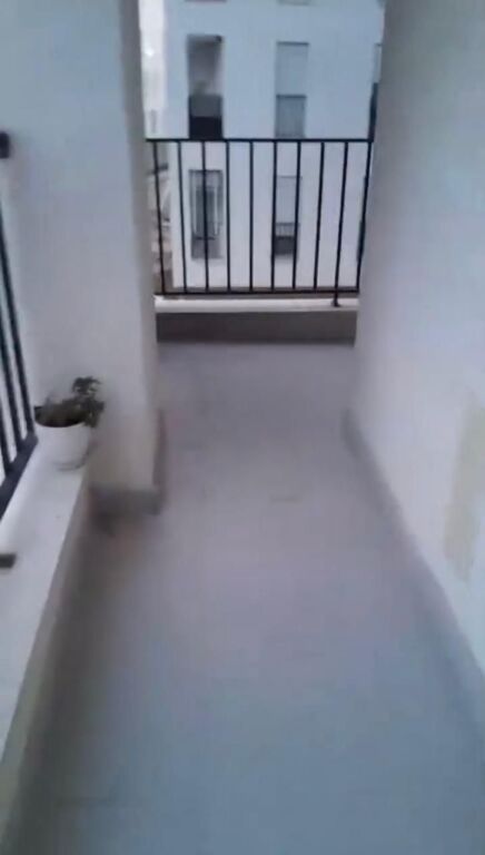 Rent | Apartament 2 + 1 | Rruga 5 Maji | 500 €/month