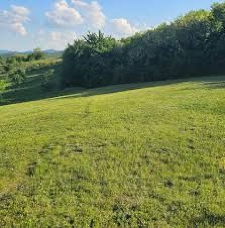 🏡 Super Opportunity – Land for Rent in Vaqarr