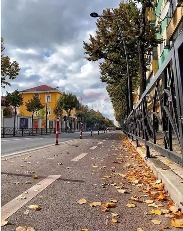 Appartamento 1+1 in Affitto, Via Fortuzi, dietro Villa Tafaj!