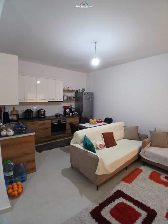Vile Me Qera 1+1 Ne Astir ( ID BV22561) Tirane