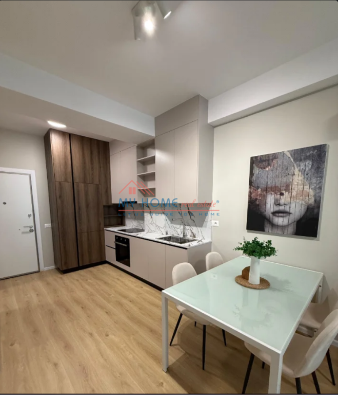 Appartamento 1+1 in Affitto Ali Demi Tirane