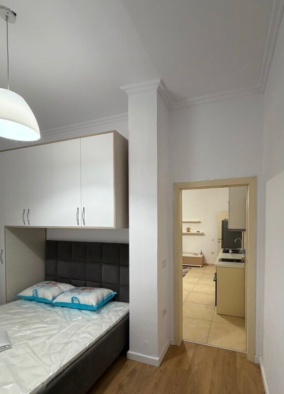 1+1 for rent near the botanical garden