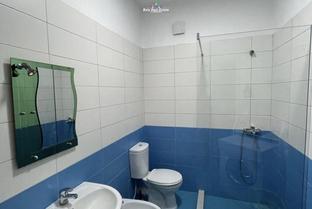 Appartamento In Affitto 1+1 A Astir ( ID B2101734) Tirana