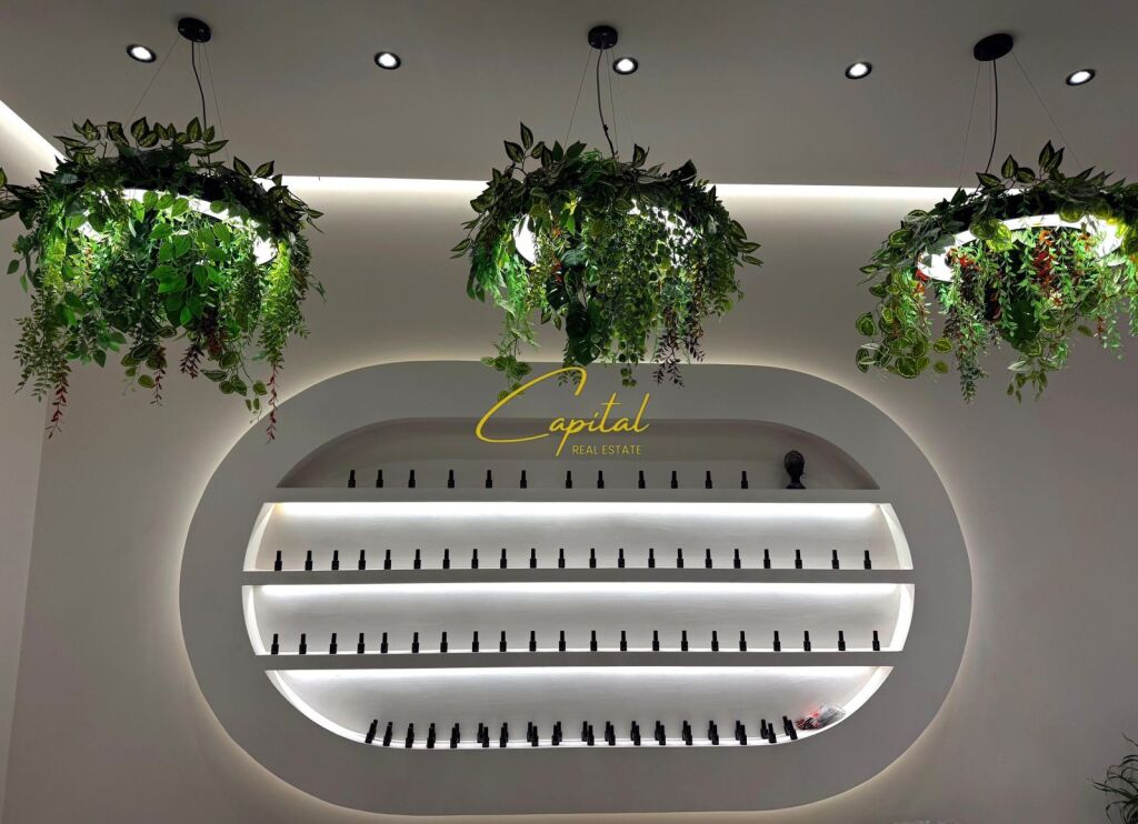 AMBIENT BIZNESI ME QIRA 50 M2 ASTIR 600 EURO