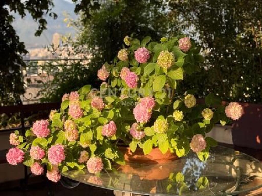 Shitet Apartament 3+1+3 Penthouse me Pamje Panoramike nga Tirana