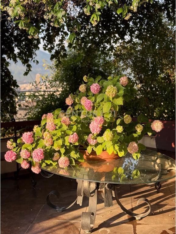 Apartment 3+1+3 Penthouse with Panoramic View for Sale from Tirana Neom142074