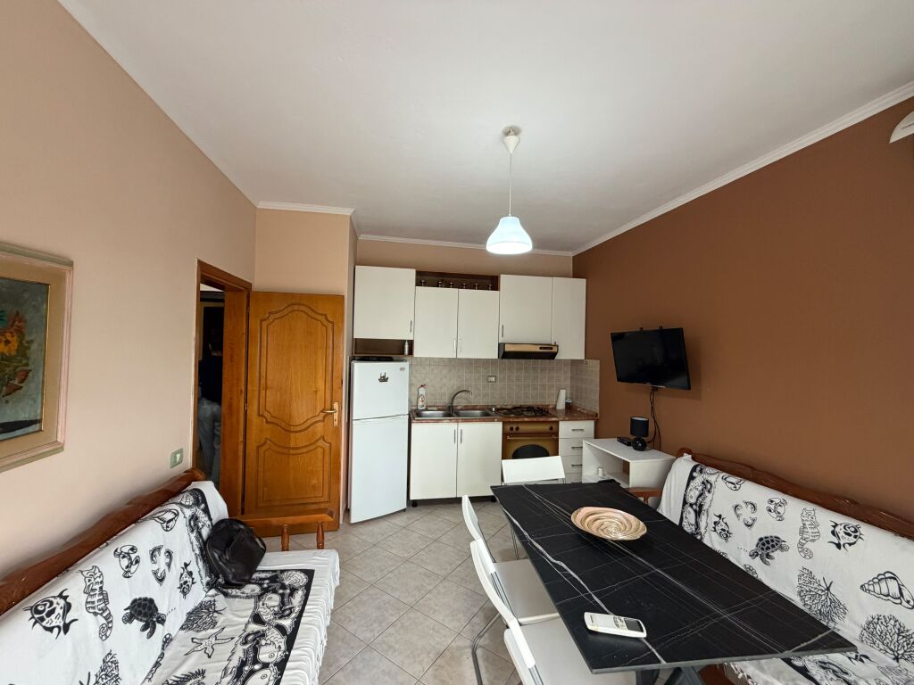 Apartment 1+1 for rent