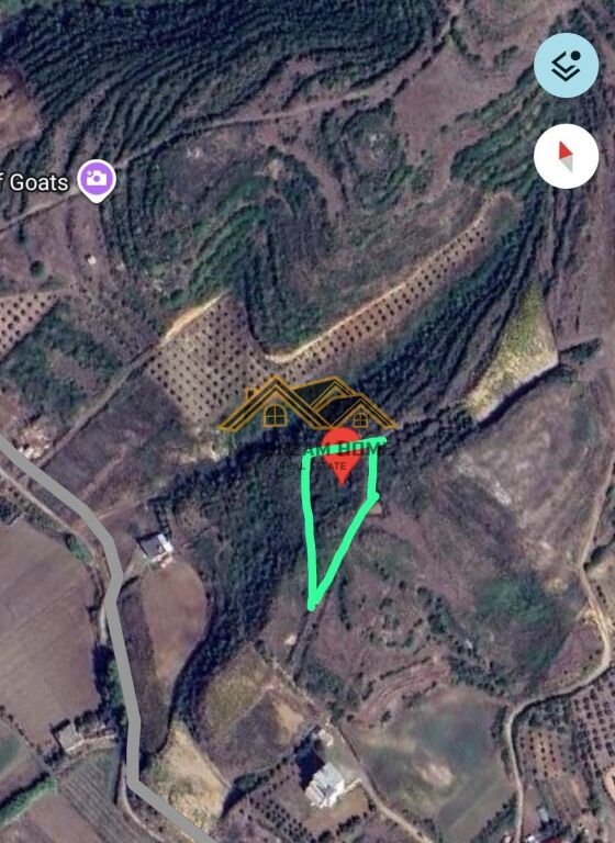SHITET TOKE 2600 M2 NE SPILLE KODER ME PAMJE PIKTORESK DETIT