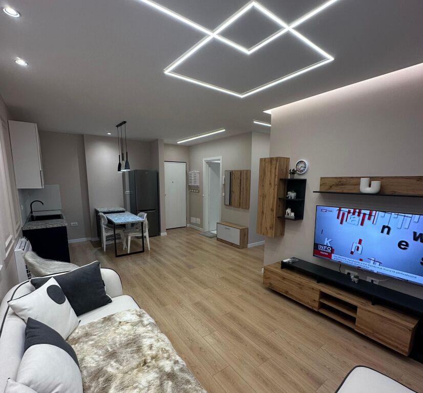 Modern 1+1 apartment for rent, Univers City