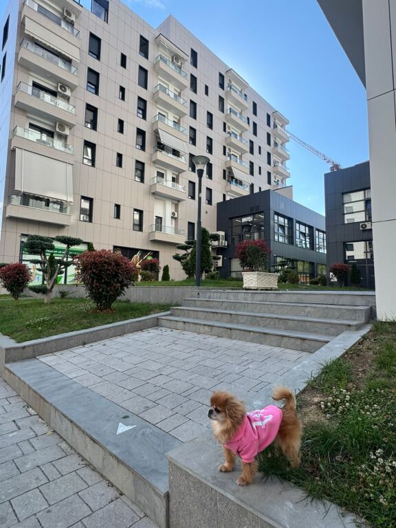 APARTMENT 2+1+2 FOR RENT AT RESIDENCA ERLI