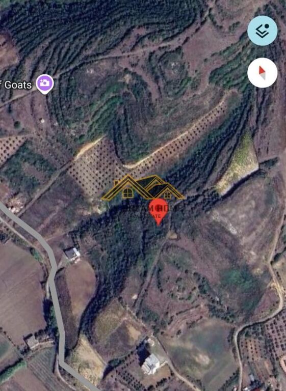 SHITET TOKE 2600 M2 NE SPILLE KODER ME PAMJE PIKTORESK DETIT