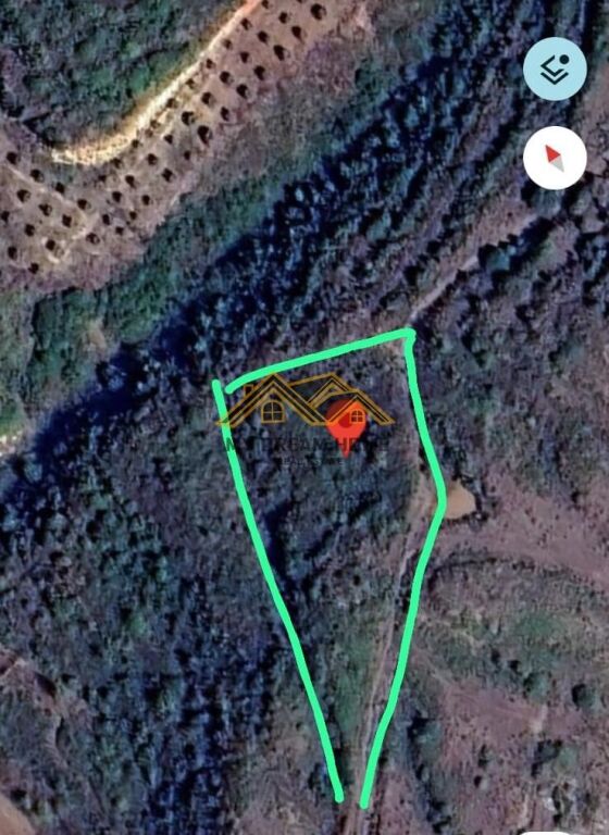 SHITET TOKE 2600 M2 NE SPILLE KODER ME PAMJE PIKTORESK DETIT