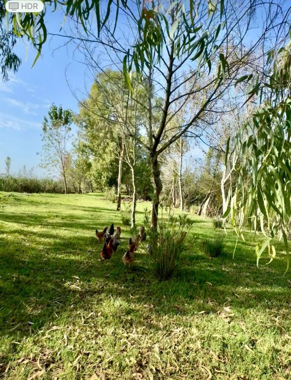 JEPET ME QIRA. LAGUNE NE PATOK  1800 euro
