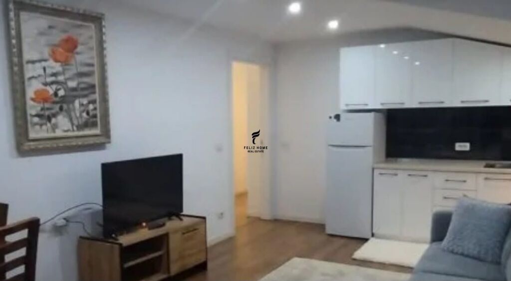APARTMENT FOR RENT 1+1 ISH PARKU 40,000 LEKE FH-77367
