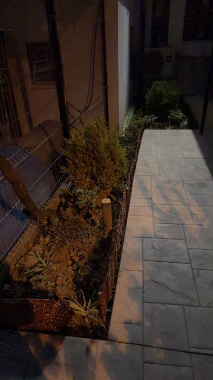 Shtepi private me qira 1+1 me parking , Vasil Shanto