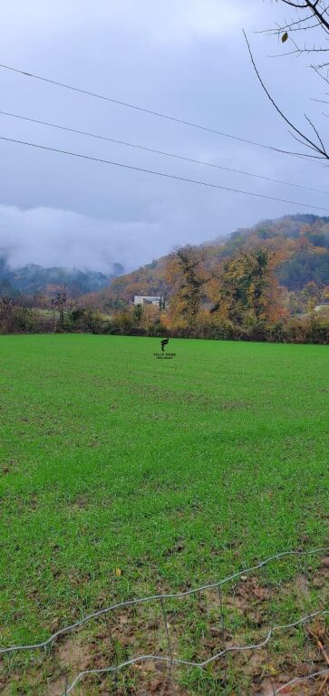 SHITET TOKE 3500 M2 PETRELE 31.500.000 LEKE  FH-77391