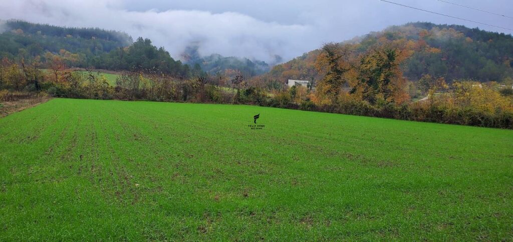 SHITET TOKE 3500 M2 PETRELE 31.500.000 LEKE  FH-77391