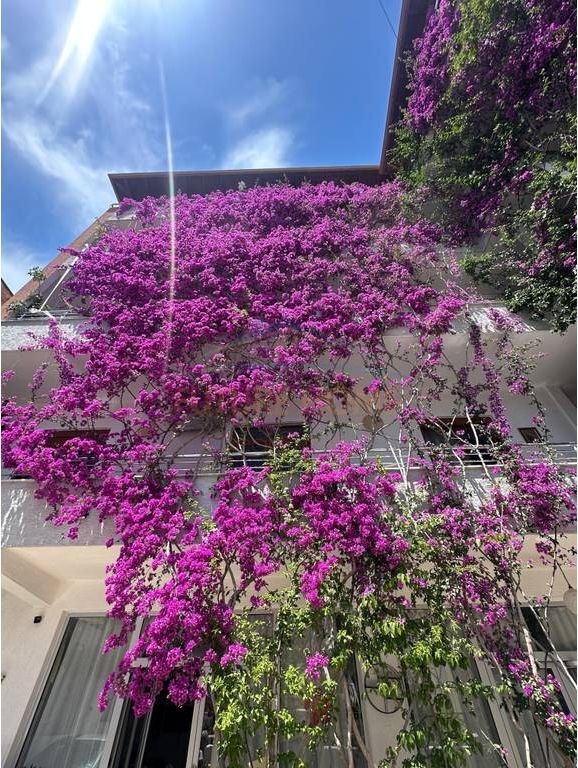 For sale, 5-Storey Hotel, Iliria Beach, Durres