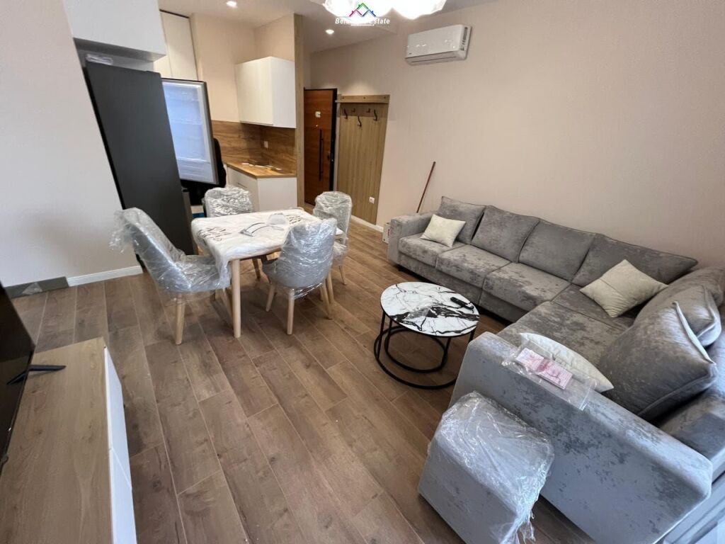 Apartament Me Qera 1+1+Post Parkim Tek Zogu i Zi (ID B2101367) Tirane