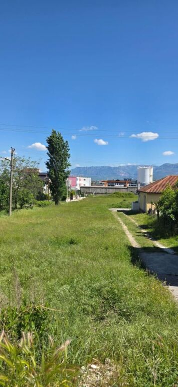 Shitet Toke ne Yrshek/ Afer Liqenit Te Kasharit