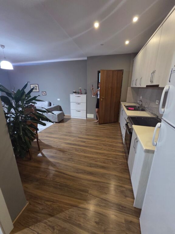 1+1, furnished, municipality of Paris, 650 thousand lek