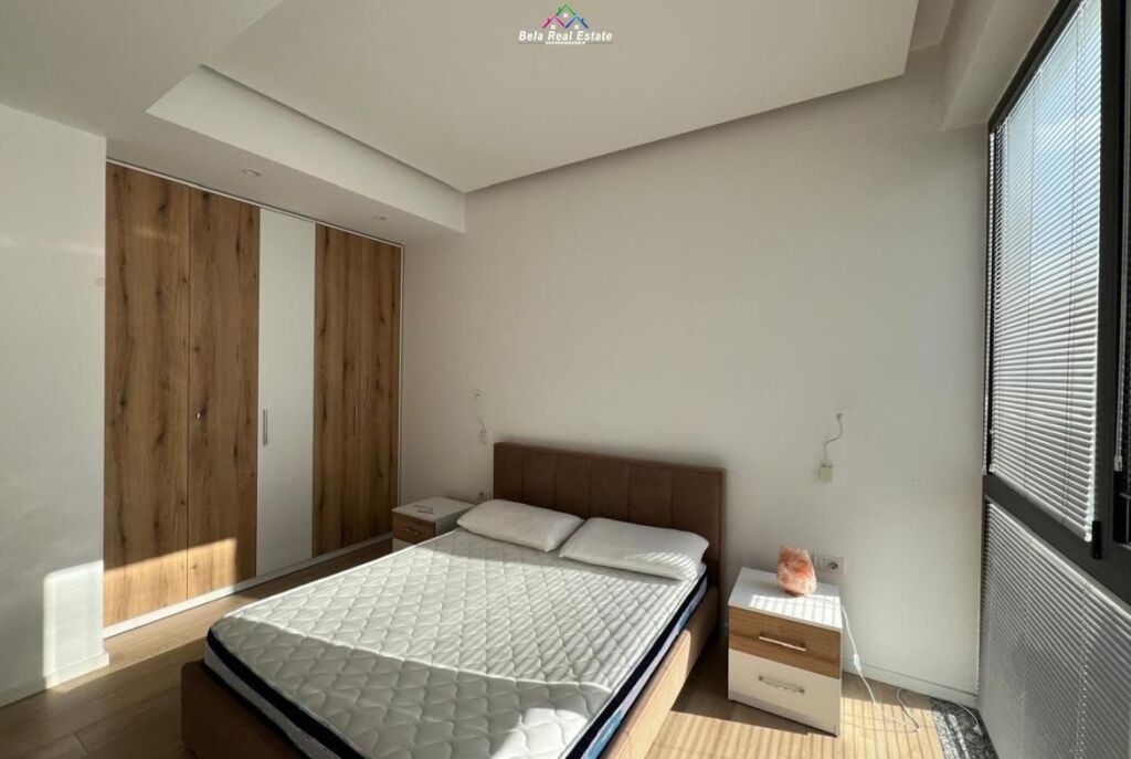 Apartament Me Qera 1+1 Tek Ish Parku (ID B2101295) Tirane