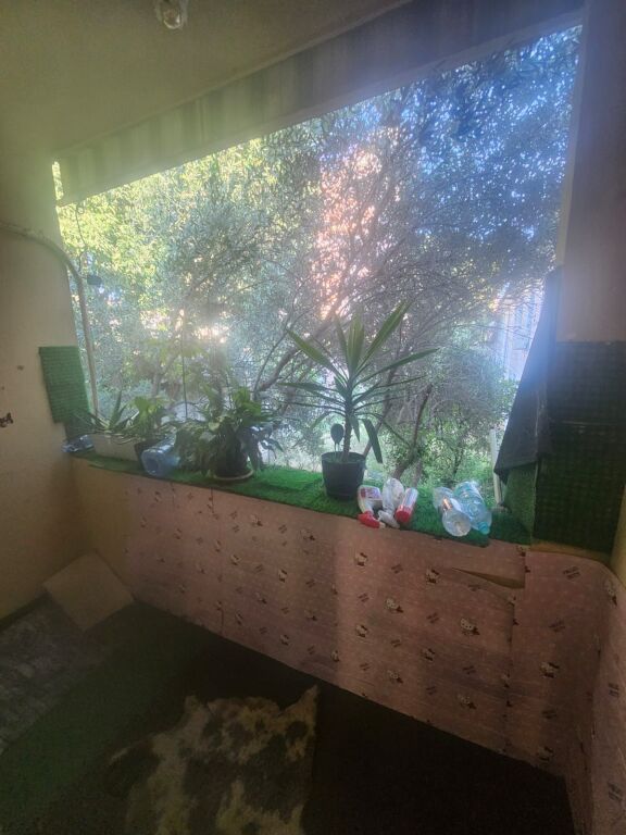 Apartament 2+1 me Qira pranë Drejtorisë së Përgjithshme të Policisë