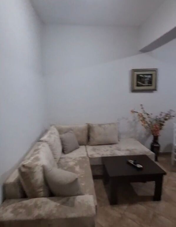Misto Mame apartment for rent 1+1