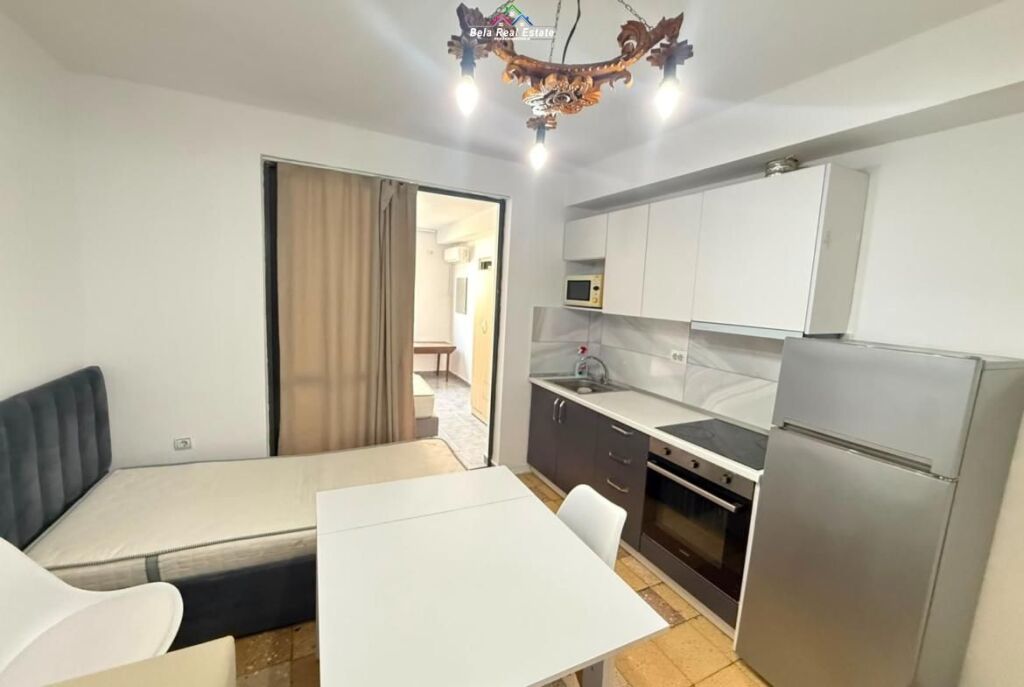 Apartment for Rent 1+1 in Brryl (ID B211365) Tirana