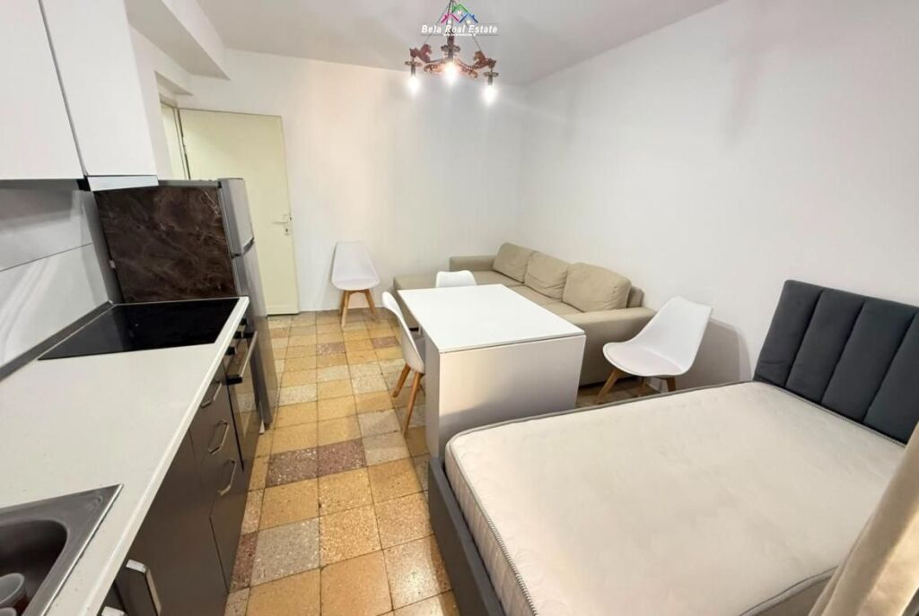 Apartment for Rent 1+1 in Brryl (ID B211365) Tirana