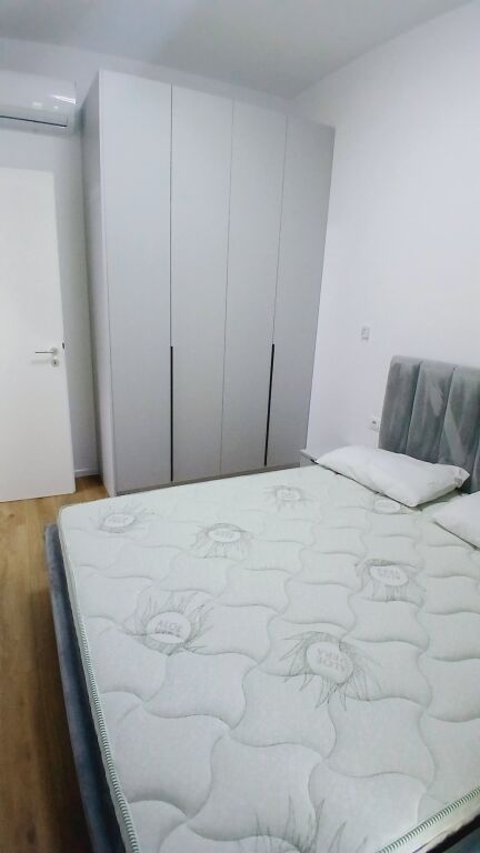 In affitto 1+1 a Ali Dem per 42.000 lek