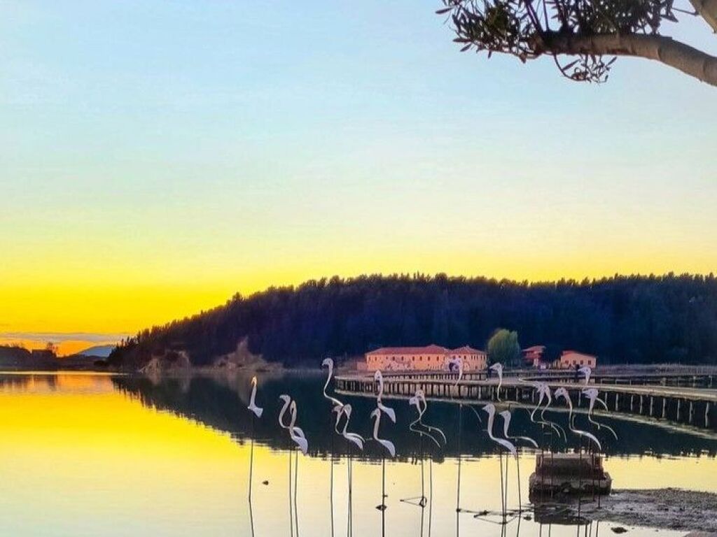 APARTAMENT 1+1 PER SHITJE NE POGRADEC*